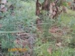 IMG-20261027-WA0024